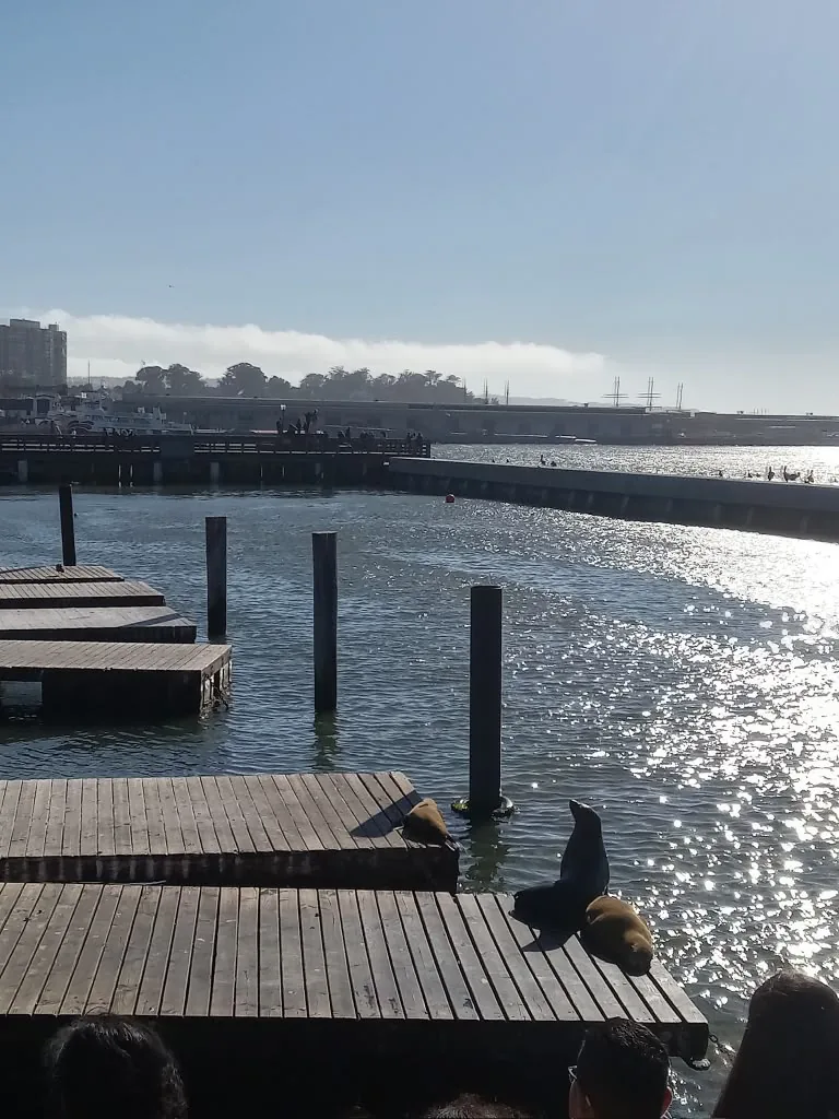 Harbor